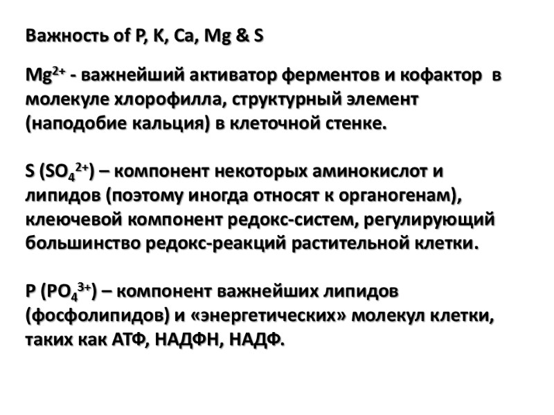 Важность of P, K, Ca, Mg & S  Mg2+ - важнейший активатор ферментов